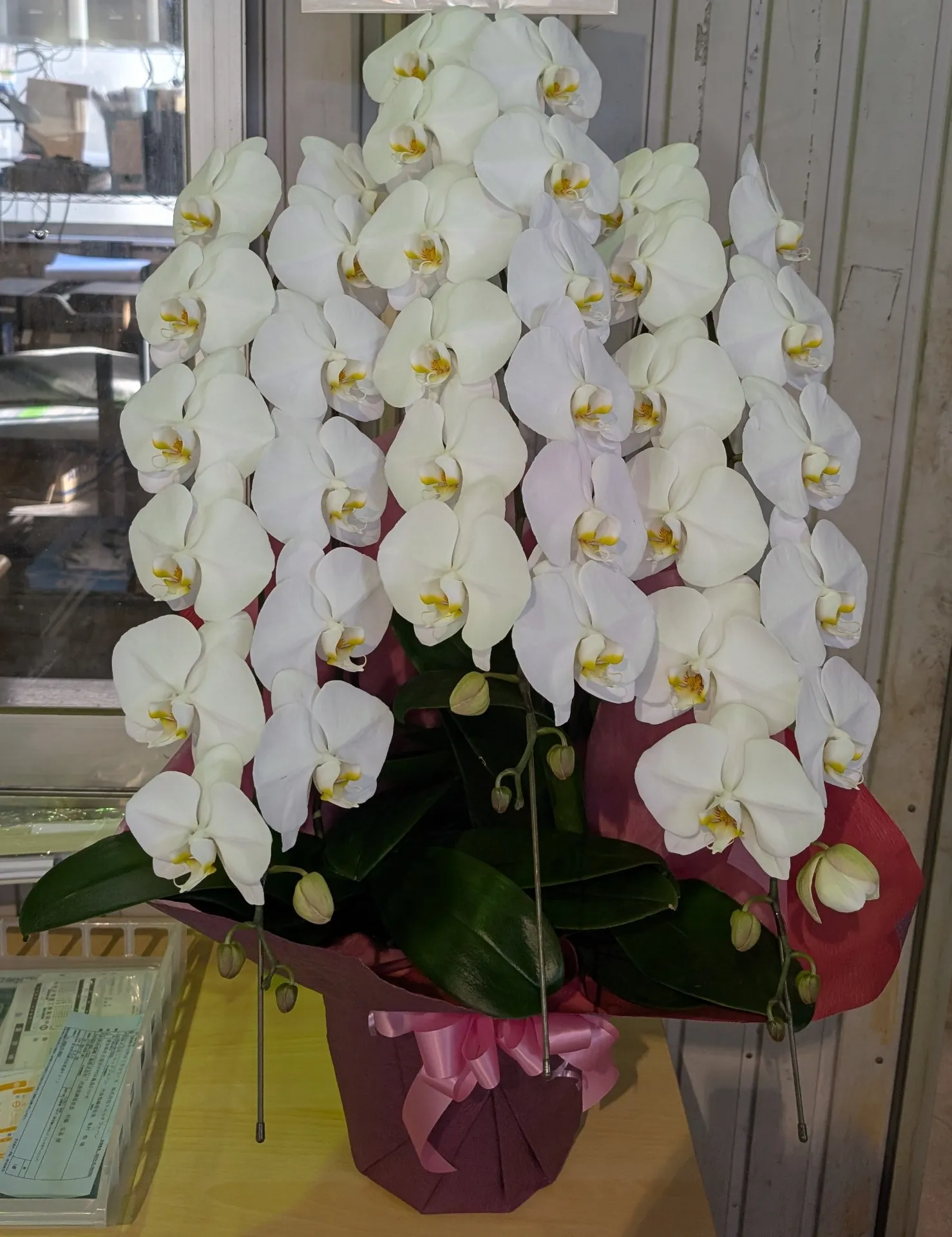 ありがとうございます