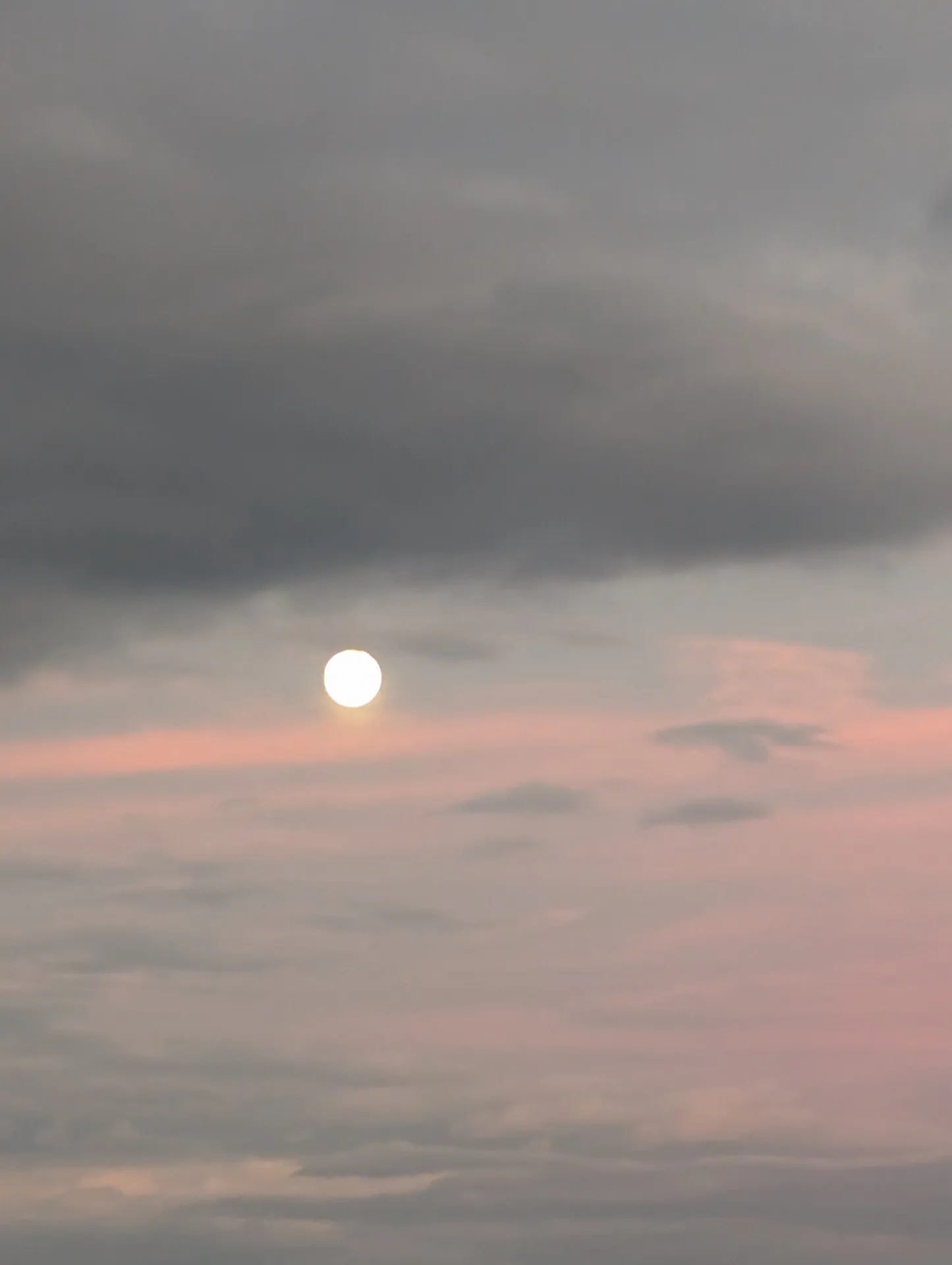 展示会効果 & おつかれさまでした